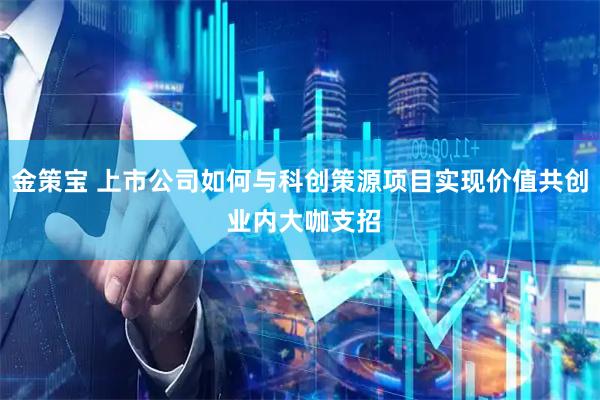 金策宝 上市公司如何与科创策源项目实现价值共创 业内大咖支招