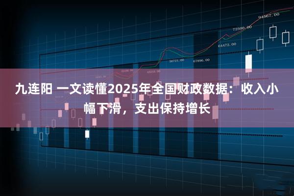 九连阳 一文读懂2025年全国财政数据：收入小幅下滑，支出保持增长