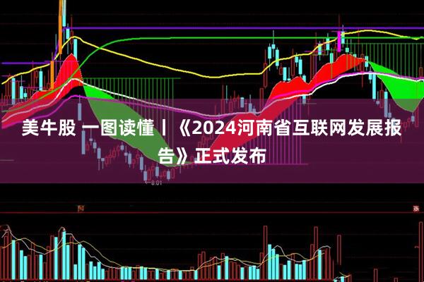 美牛股 一图读懂丨《2024河南省互联网发展报告》正式发布